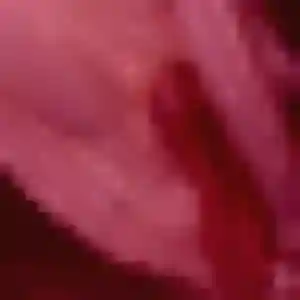 Lou, 32 ans, disponible à Lent pour un rencontre adulte