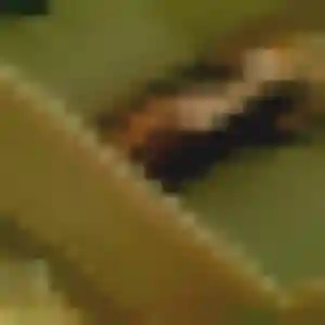 Photo de Adja à Lentilly (45 ans) - rencontre adulte sans inscription