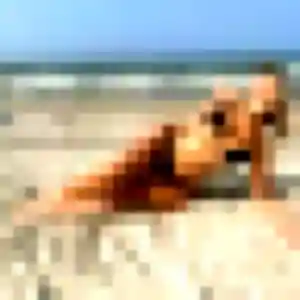 Tabitha, 24 ans, en ligne à Les Clefs pour une rencontre coquine