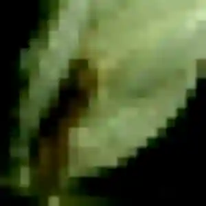 Sexy Njeri, 28 ans à Les Islettes - voir sa photo