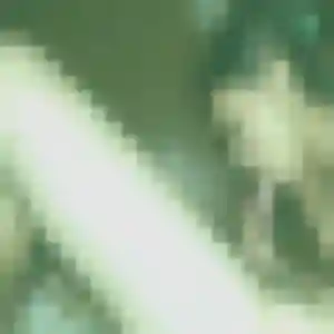 Rejoins Amoin, 27 ans à Les Mages en t'inscrivant