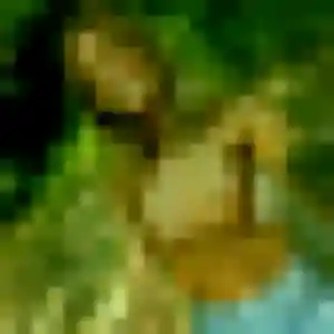 Photo exclusive de Djamilatou, 39 ans à Les Molières - rencontre coquine