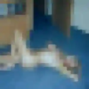 Photo privée de Célestine, 31 ans à Les Ollières-sur-Eyrieux - rencontre coquine