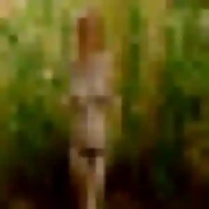 Nyima, 29 ans, en ligne à Lestelle-Bétharram pour une rencontre coquine