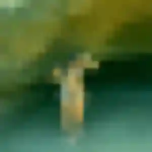 Comfort, 20 ans, cherche un rencontre adulte à Lestrem