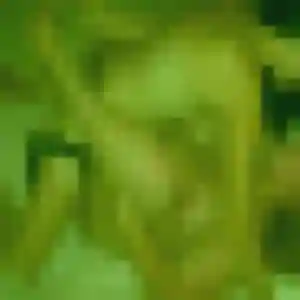 rencontre adulte à Levier : profil de Maëva, 25 ans - inscription gratuite