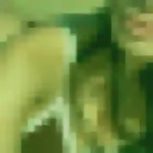 Dado (35 ans) à Lévignac-de-Guyenne cherche un rencontre adulte aujourd'hui