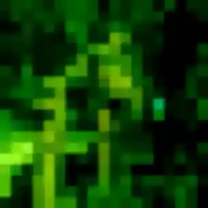 Nafi de Leyme, 21 ans - rencontre adulte sans prise de tête