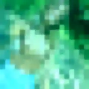 Hope, femme de 37 ans propose rencontre adulte à Lezennes