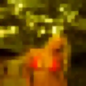 Photo exclusive de Élise, 33 ans à Lièpvre - rencontre coquine