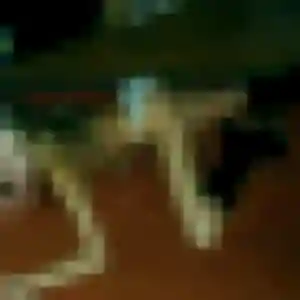 rencontre adulte à Lieuron : profil de Obiageli, 34 ans - accès libre