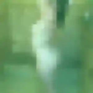 Hawa, 42 ans, en ligne à Ligné pour un rencontre adulte