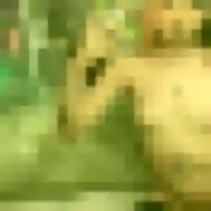 Découvre Farida, 34 ans à Lille gratuitement