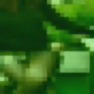 Photo de Korotoumou à Limalonges (33 ans) - rencontre adulte anonyme