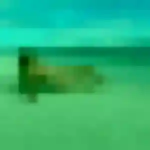 Jolie Obiageli, 35 ans à Limoux - voir sa photo