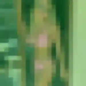 Bola, 21 ans, en ligne à Linards pour une rencontre coquine
