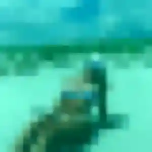 Profil de Divine à Linars (31 ans) - rencontre adulte gratuit