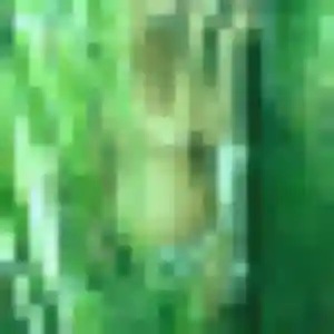 Perrine, 28 ans, connectée à Linars pour une rencontre coquine