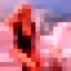 Issa de Linxe, 29 ans - rencontre adulte sans prise de tête