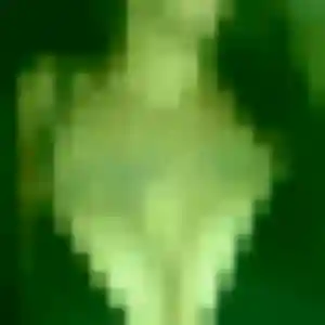 Ruth (40 ans) à Longuyon cherche un rencontre adulte maintenant