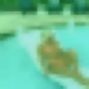 Rejoins Daphné, 38 ans à Lorient gratuitement