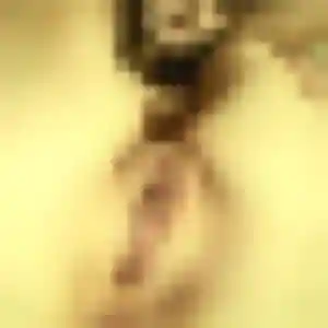 Rencontre Tanoh, 29 ans à Lormaison en privé