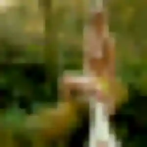 Profil de Esi à Lorquin (36 ans) - rencontre adulte gratuit