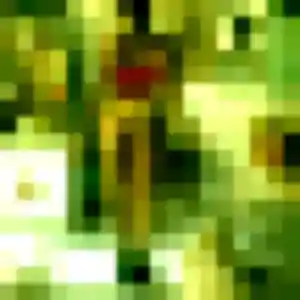 Jolie Hawa, 32 ans à Lorquin - la contacter