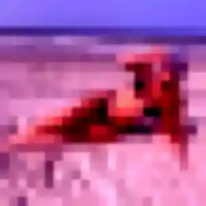 Jolie Favour, 43 ans à Louey - voir sa photo