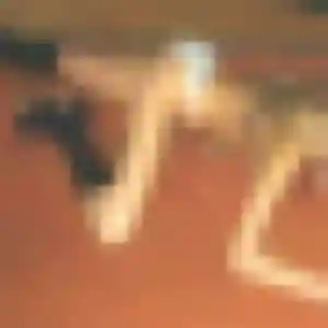 Saly, 39 ans, connectée à Loupes pour un rencontre adulte