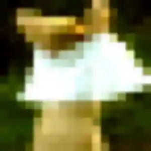 Rencontre Oumy, 39 ans à Lozanne en t'inscrivant