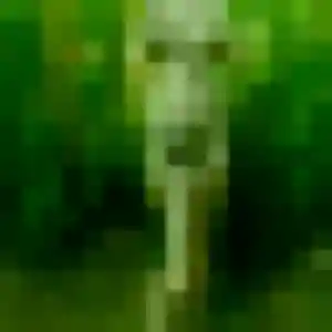 Photo exclusive de Yasmina, 43 ans à Lozinghem - rencontre sans lendemain