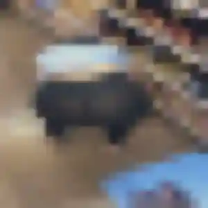 Photo privée de Merveille, 42 ans à Lucenay - rencontre sans lendemain