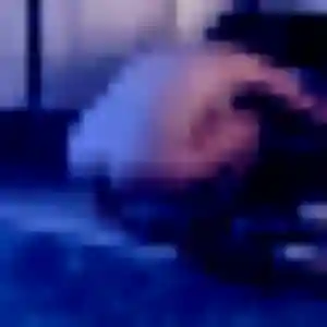 Photo perso de Léonie, 43 ans à Luçon - rencontre coquine