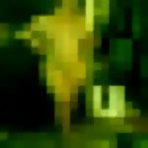 Photo exclusive de Kadja, 31 ans à Mably - rencontre sans lendemain