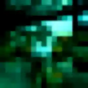 Photo de Samira à Mâcon (41 ans) - rencontre adulte gratuit