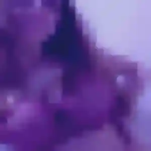 Lise, femme de 35 ans veut rencontre adulte à Madaillan