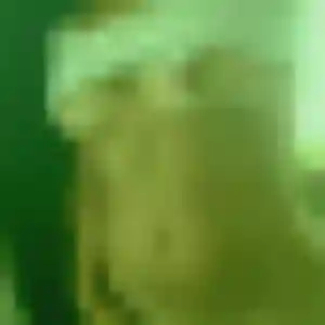 Belle Adjoua, 24 ans à Maillane - voir sa photo