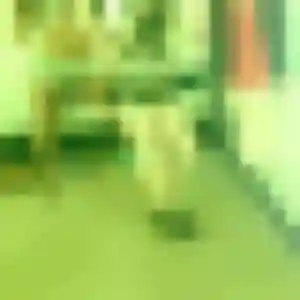 Titilayo, 25 ans, cherche un rencontre adulte à Maillezais