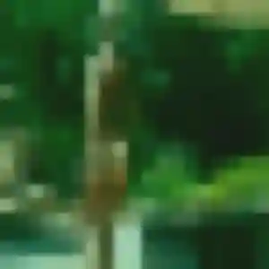 rencontre adulte à Mainvilliers : photo de Diouma, 40 ans - inscription gratuite