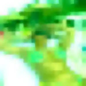 Khady, 22 ans, cherche un rencontre adulte à Malrevers