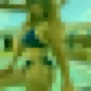 Nabou, 33 ans, en ligne à Malrevers pour une rencontre coquine