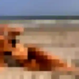 Cassandra de Mana, 45 ans - rencontre adulte en toute liberté