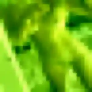 Découvre Zélie, 29 ans à Marat en privé