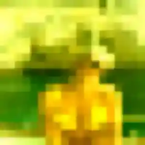 Profil de Esi à Marcelcave (26 ans) - rencontre adulte sans inscription