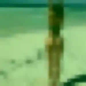 Fama, fille de 27 ans propose rencontre adulte à Marcenod