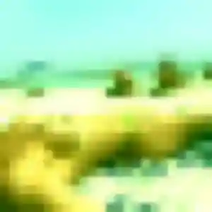 Charmante Ama, 24 ans à Marcollin - voir sa photo