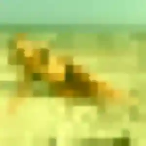 Yacine, 32 ans, en ligne à Marçon pour un rencontre adulte