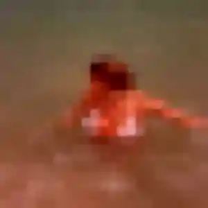 Binta, 44 ans, cherche un rencontre adulte à Margency