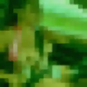 rencontre adulte à Martinet : profil de Ursule, 22 ans - accès libre